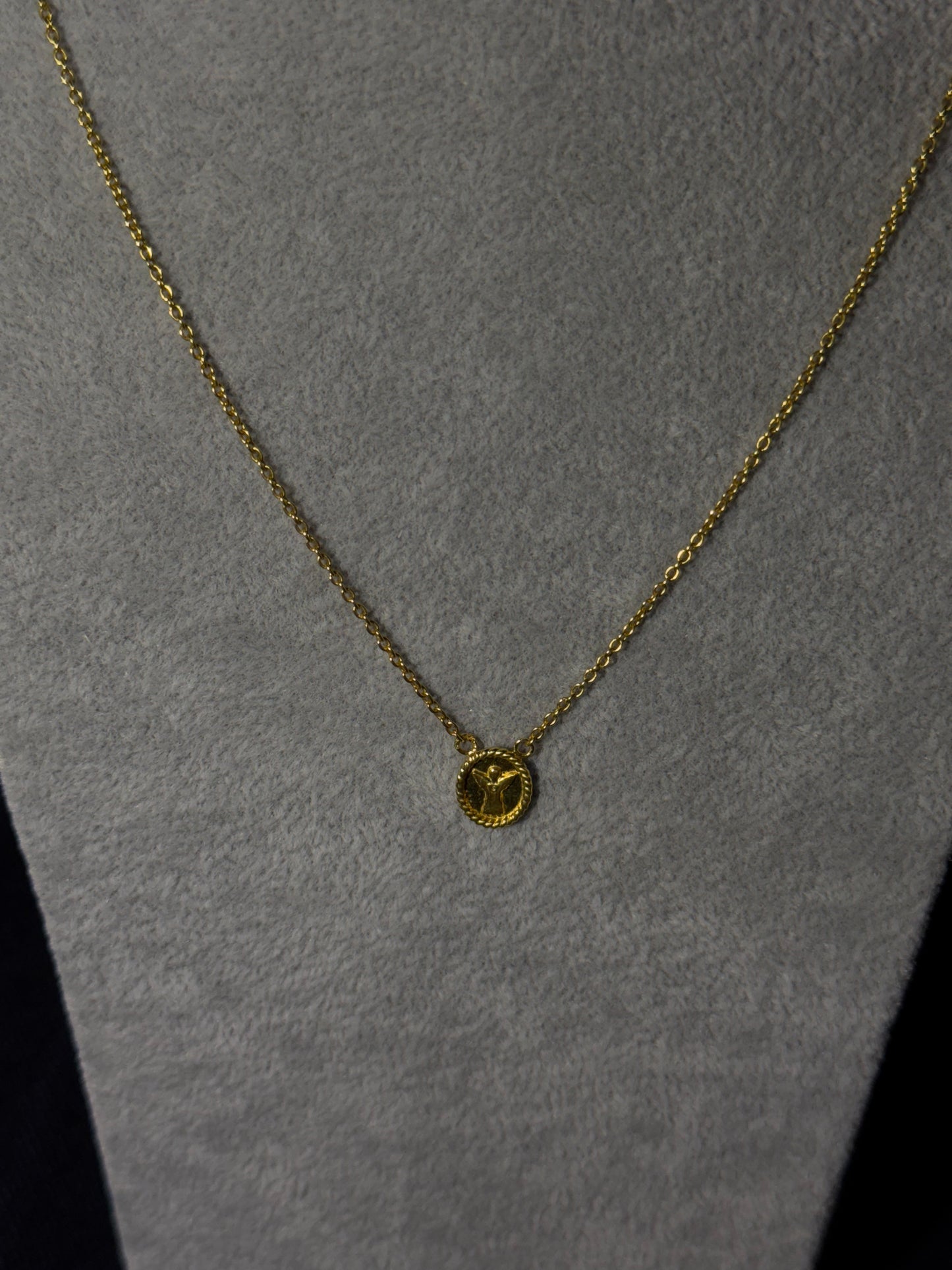 Escapulário Celeste